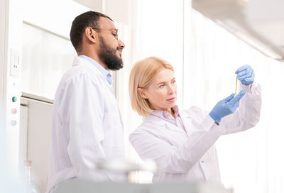 AmericanCosmetics.ConceptII